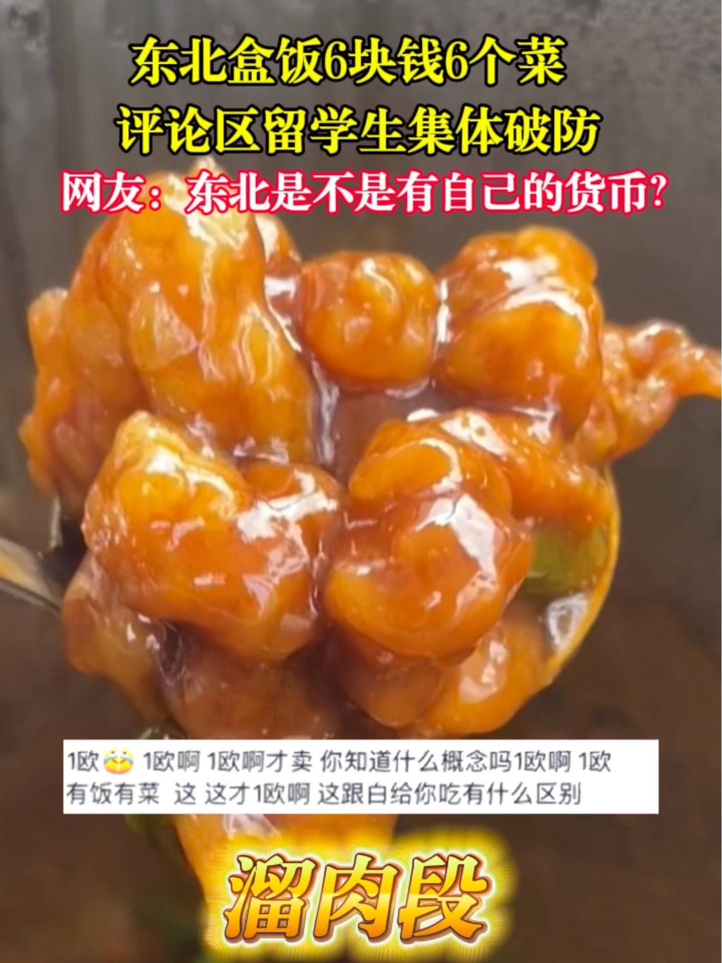 东北盒饭6块钱6个菜,评论区留学生集体破防。网友:东北是不是有自己的货币?东北盒饭 东北菜
