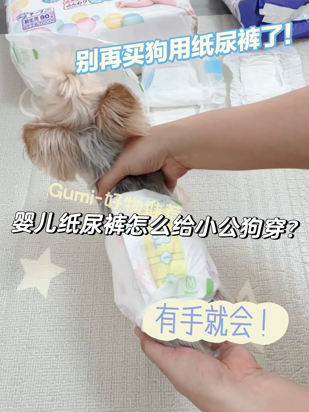 约克夏|给小公狗穿婴儿纸尿裤|手残党进!