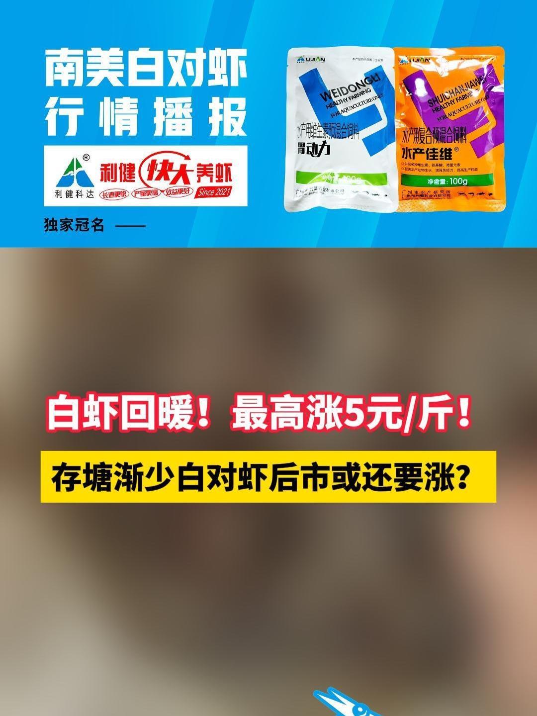 白虾回暖!最高涨5元/斤!存塘渐少白对虾后市或还要涨?南美白对虾 水产养殖 水产品