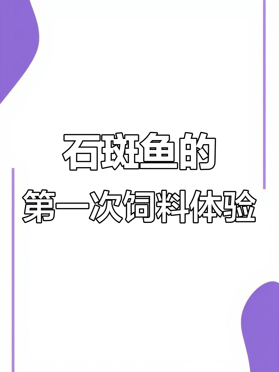 石斑鱼首次尝试饲料,原来它也能吃这个!