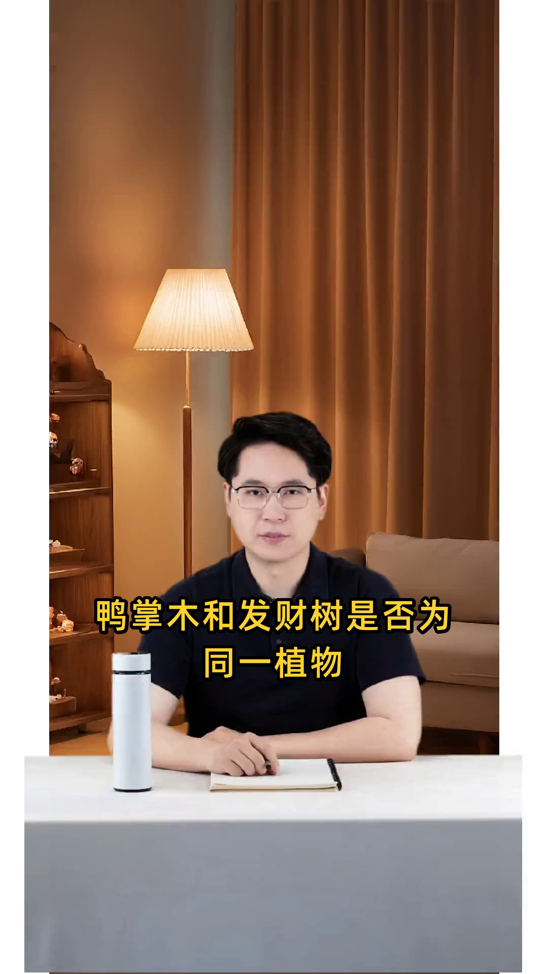 鸭掌木与发财树是否为同一植物,它们之间有何区别?