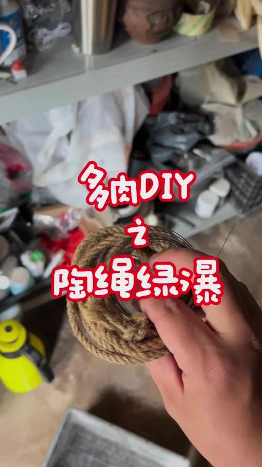 陶盆+绳子,30秒种出ins风多肉花园,邻居看