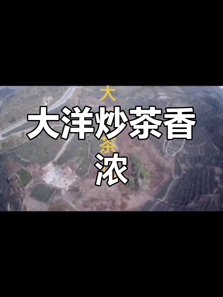 揭西大洋万亩茶山,高山炒茶香气扑鼻