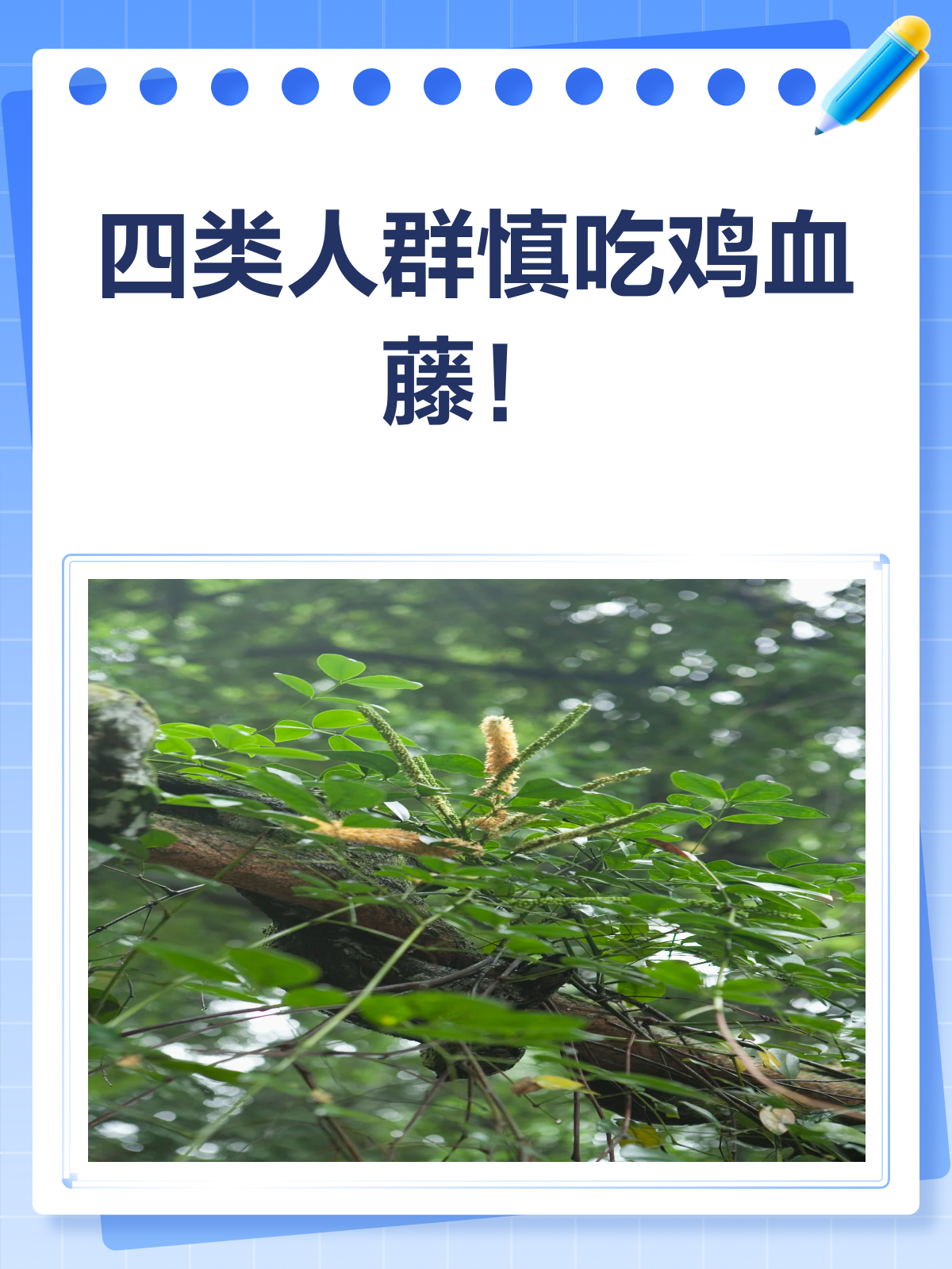 这四种人,千万别碰鸡血藤!