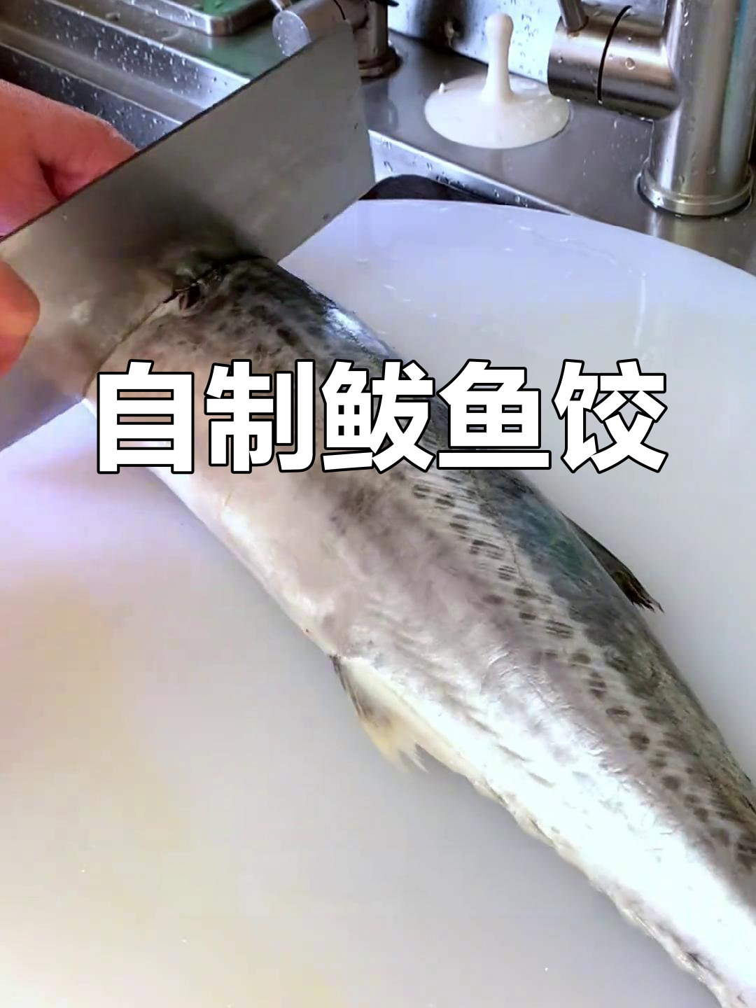 新鲜鲅鱼饺子馅做法,家庭私房外卖必备