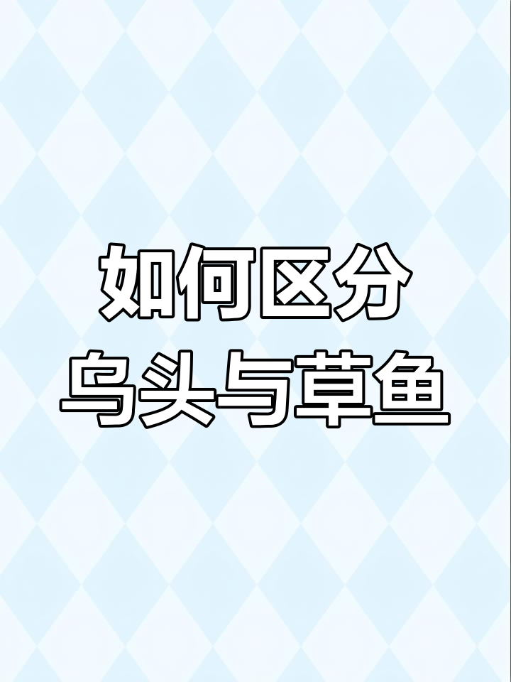乌头和草鱼的区别,轻松辨别!