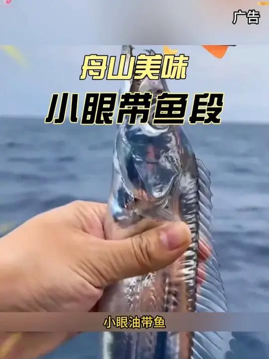 救命!渤海湾的舟山小眼带鱼段疯了?深海直捕冷链锁鲜,撕开全是蒜瓣肉!这价格老板怕不是在做慈