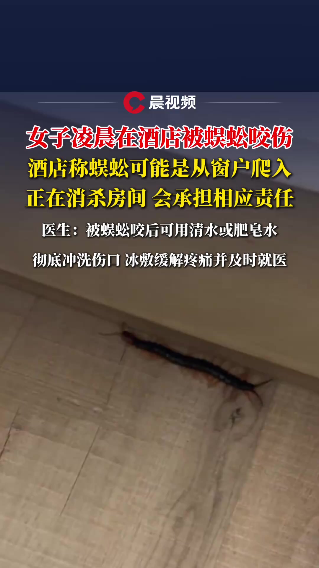 女子凌晨在酒店被蜈蚣咬伤,酒店称蜈蚣可能是从窗户爬入,会承担相应责任