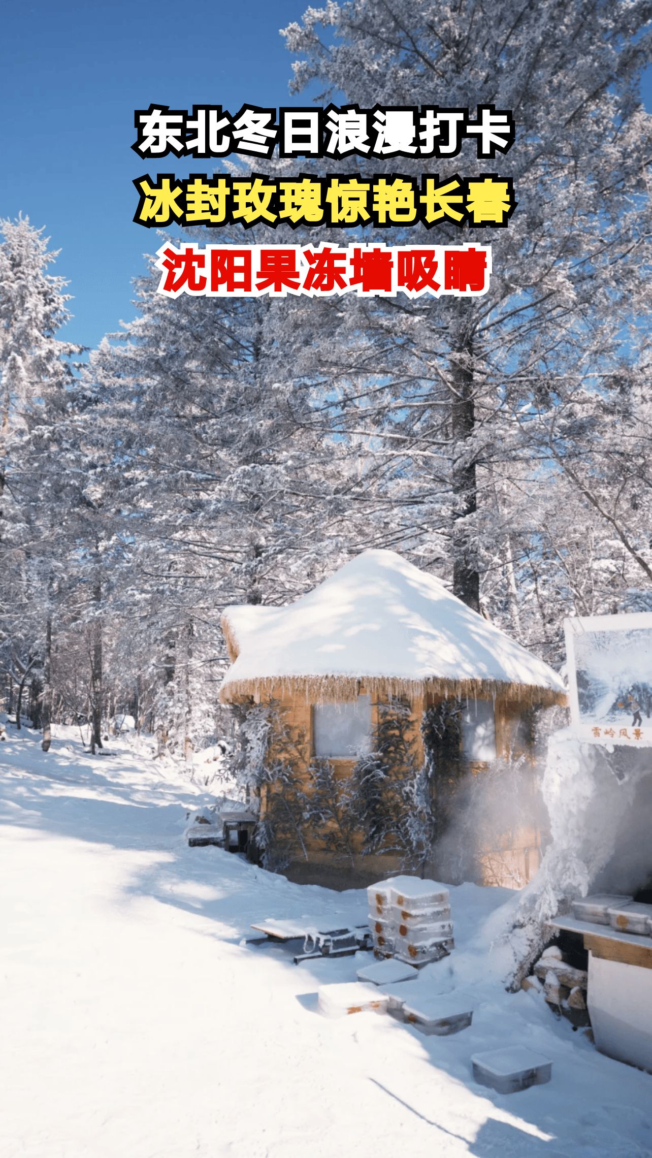 东北惊现冰封鱼墙!网友:这墙又好看又好吃,你心动了吗?