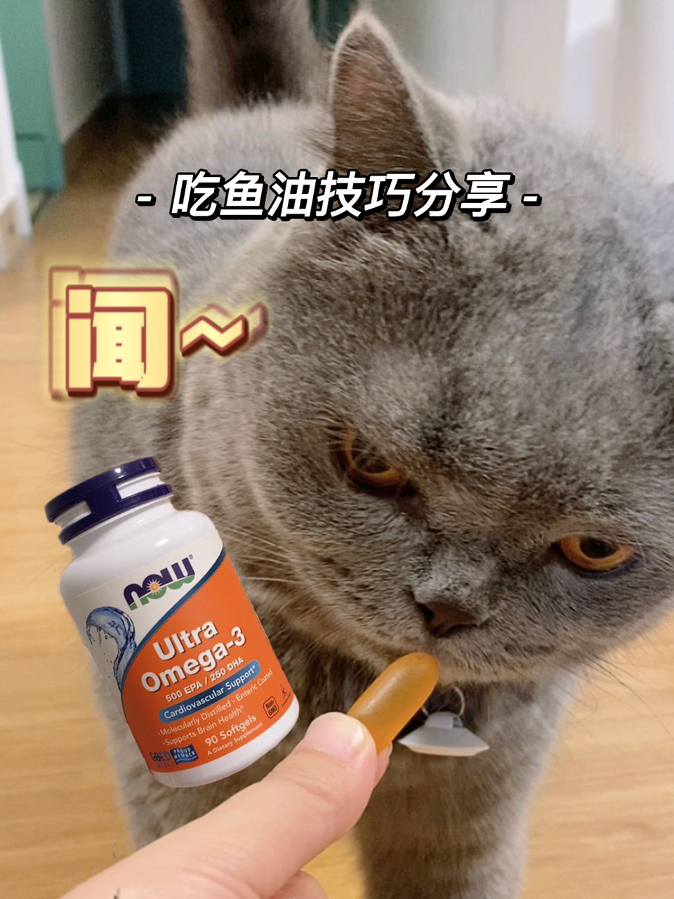 now鱼油又大又腥,猫咪不吃怎么办?