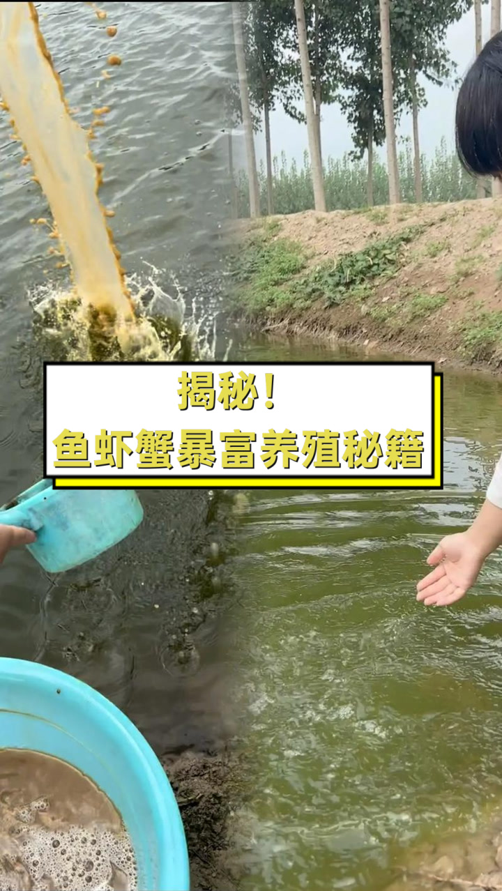 揭秘!鱼虾蟹暴富养殖秘籍