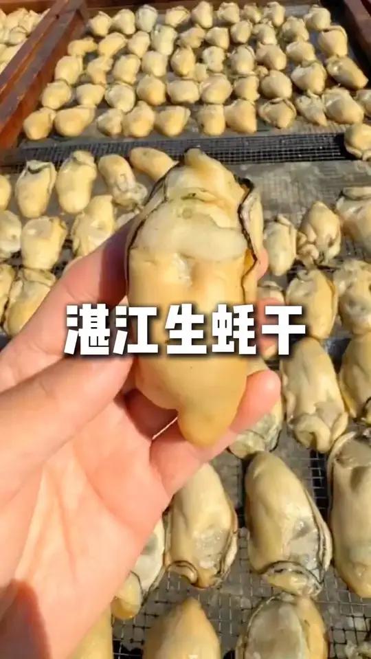 生晒的金蚝干,个大饱满,每一个都是精华;直接煎了吃或者是炖煮煲粥都特别鲜美!
