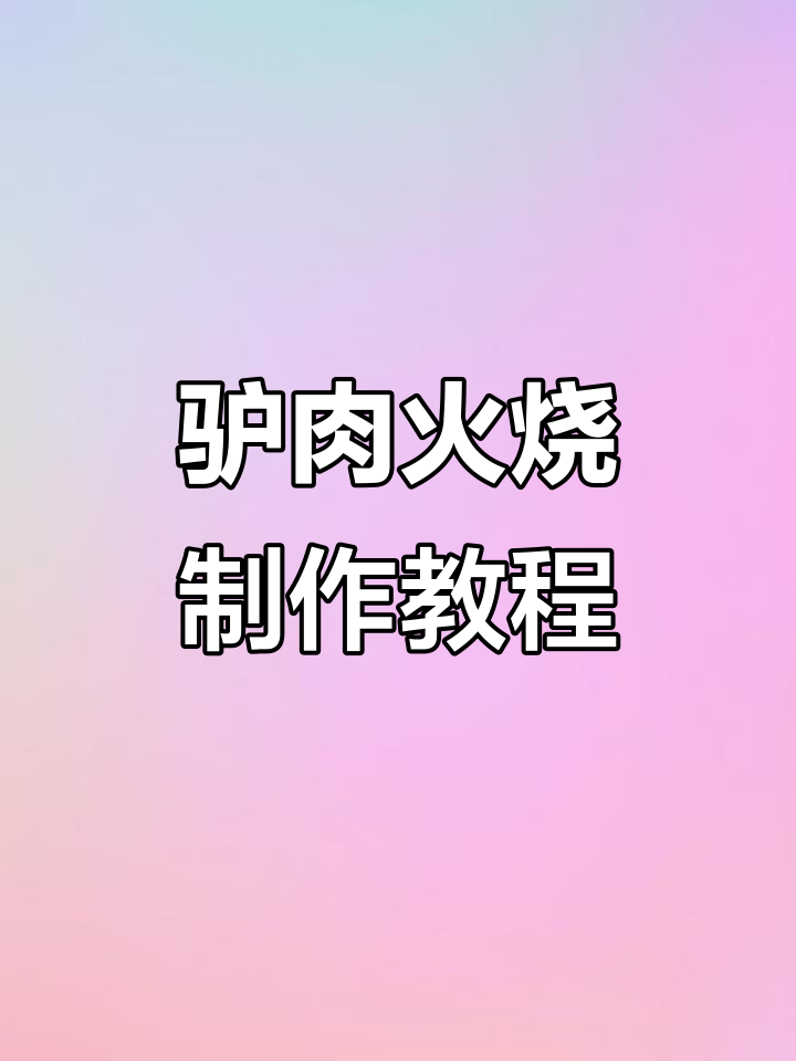 大韩教你驴肉火烧制作技巧,掌握这些步骤轻松做出完美火皮