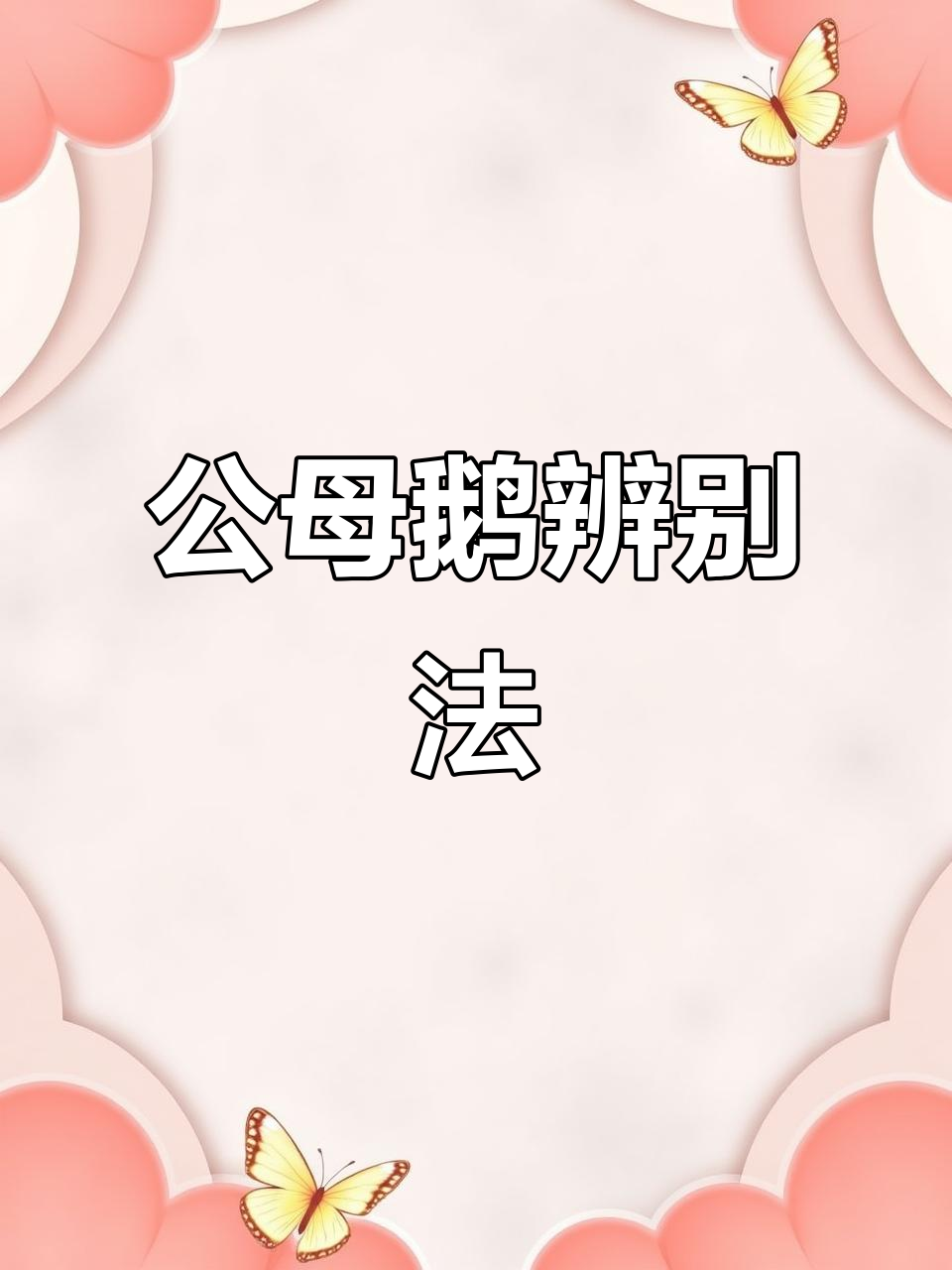 6个小技巧教你分辨公母鹅,一看就懂