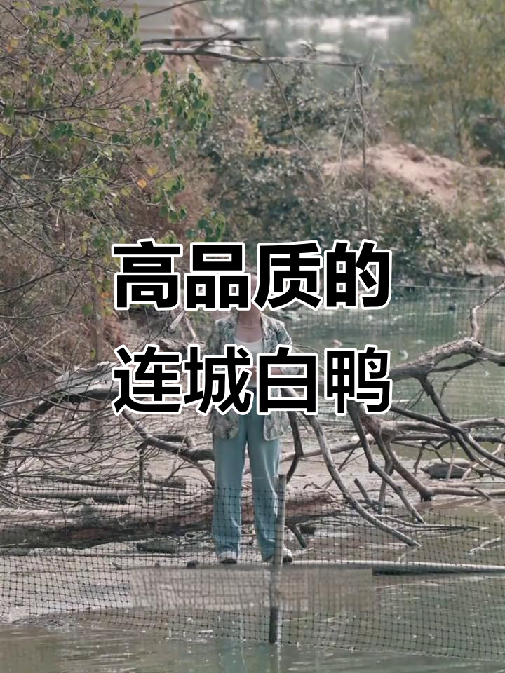 连城白鸭:自然环境赋予的高品质美味