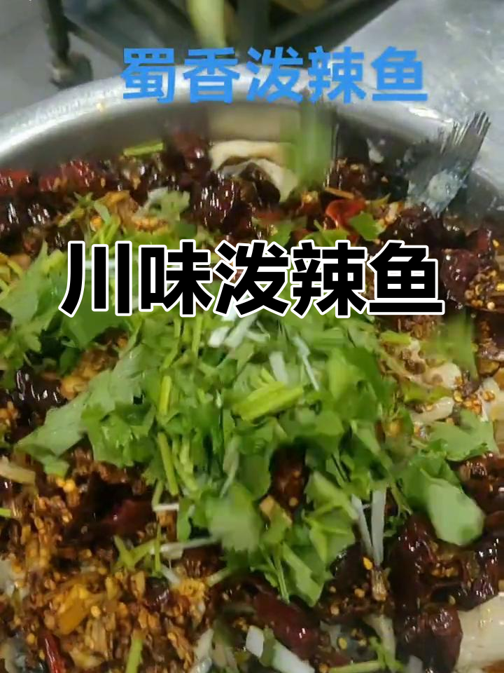 正宗四川麻辣鱼,泼辣鲜香又实惠