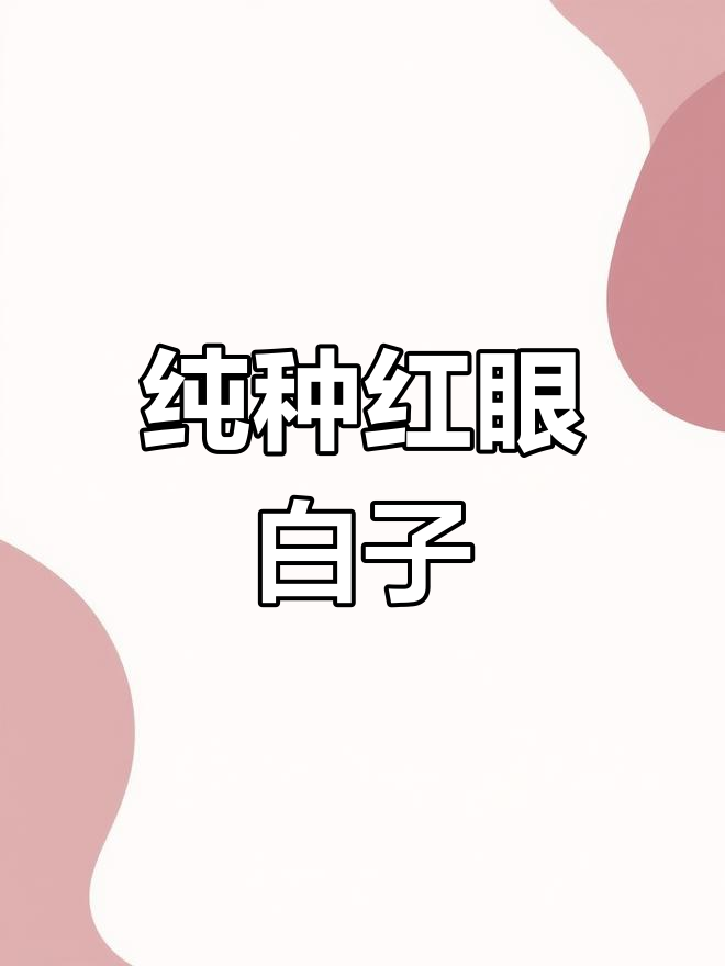 红眼白子埃及神仙鱼,繁殖难度大