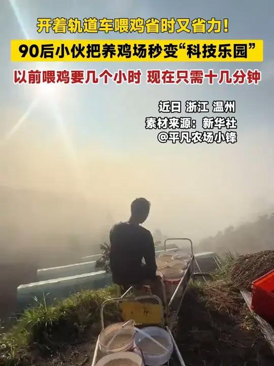 开着轨道车喂鸡省时又省力!90后小伙把养鸡场秒变“科技乐园”,以前喂鸡要几个小时,现在只需