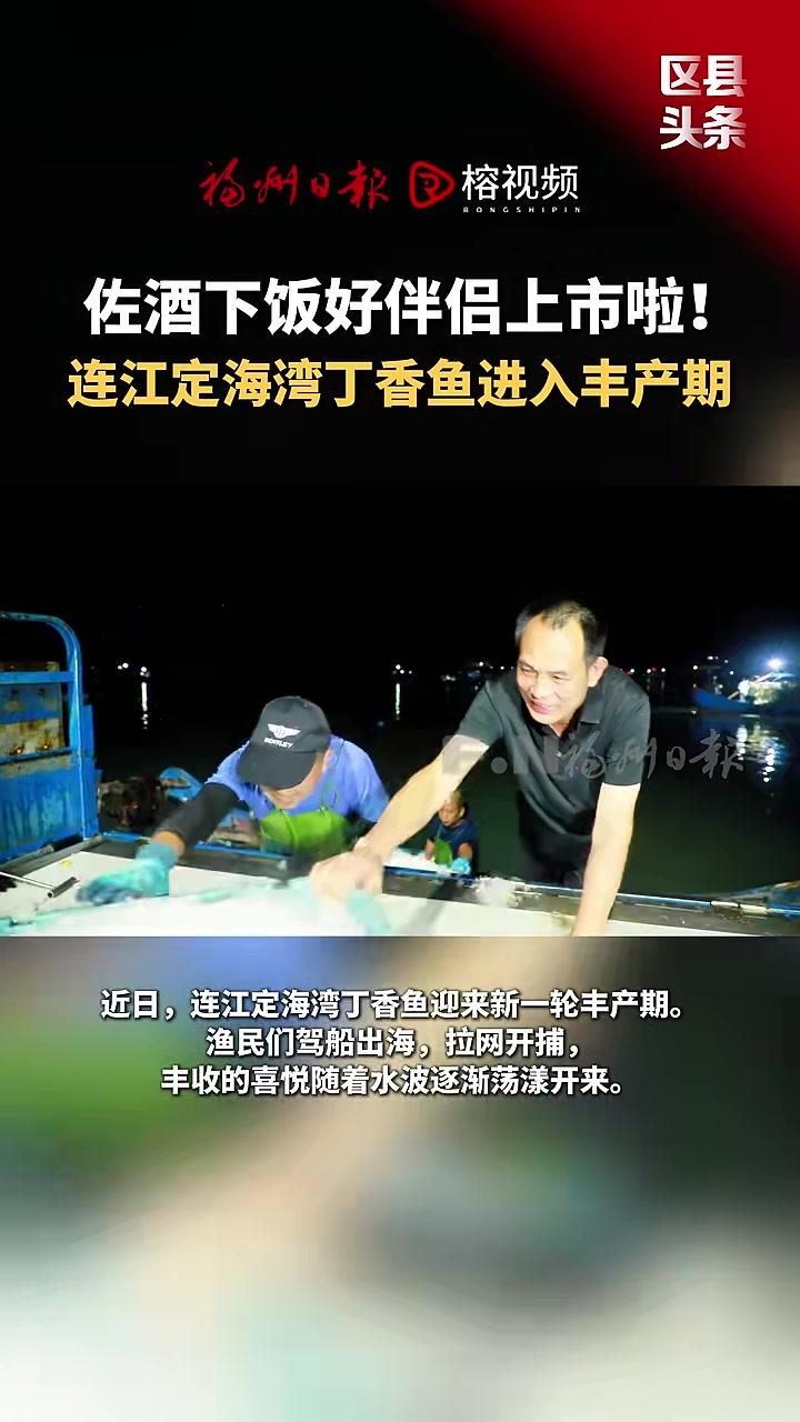 近日,连江定海湾丁香鱼迎来新一轮丰产期。福州 连江 定海湾 沙丁鱼 美食来源:连江县融媒体
