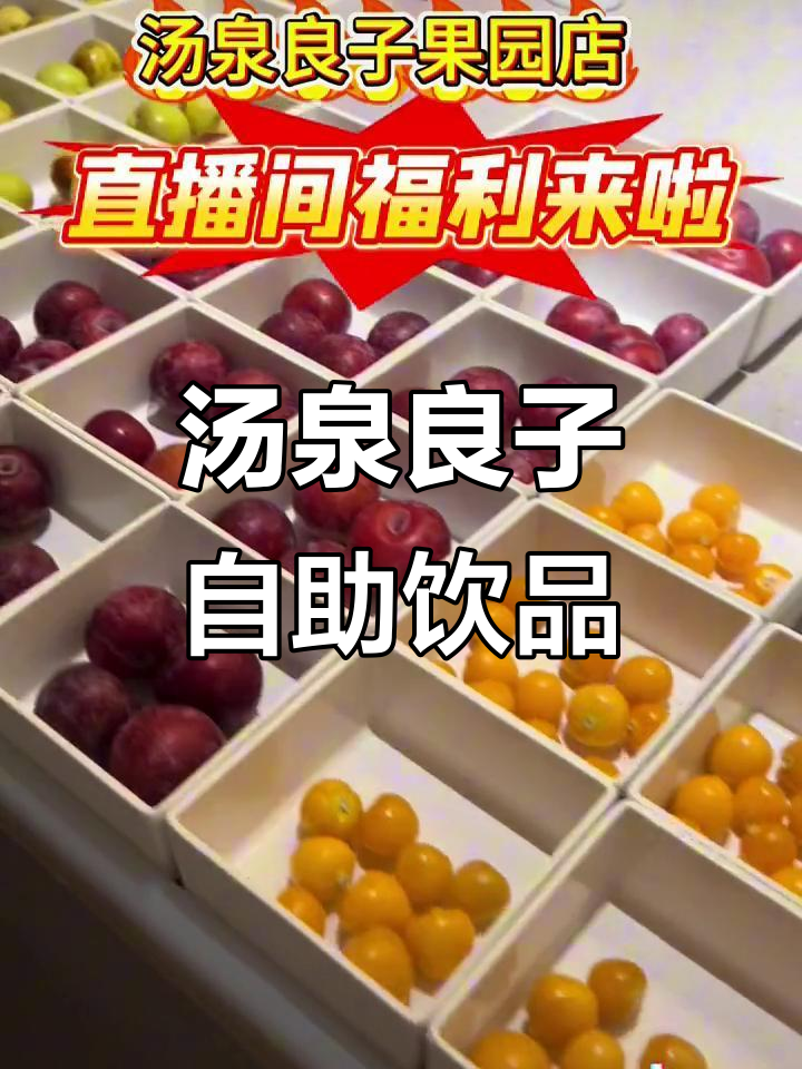汤泉良子果园店全新开业,自助水果冰粉与饮品等你来体验