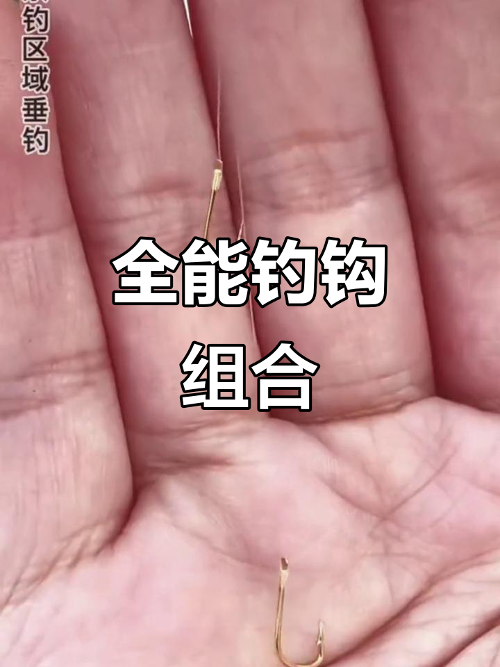 多种钓鱼钩套装,适合不同需求与鱼种