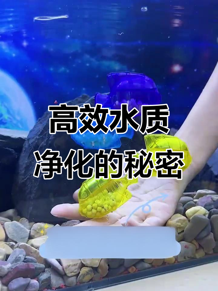 鱼缸必备净化器,美观又实用