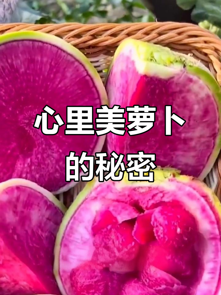 心里美萝卜:脆甜多汁,生吃凉拌泡菜都超赞