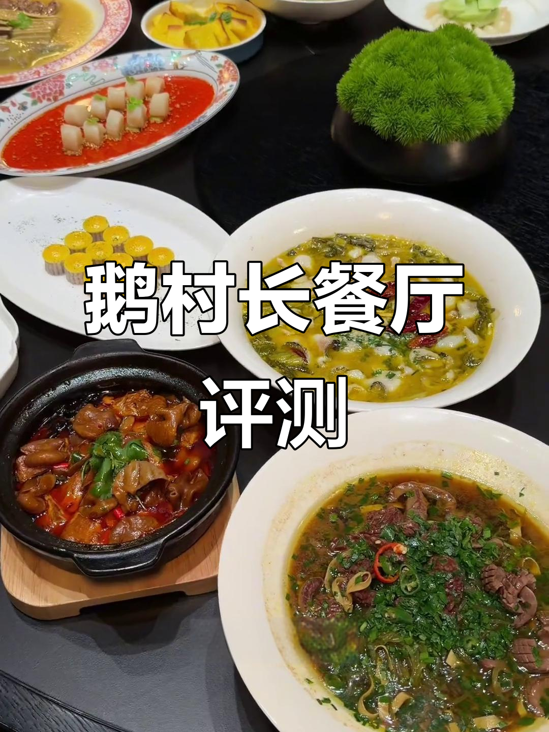 扬州鹅村长餐厅测评:地道家常菜,包厢聚餐首选