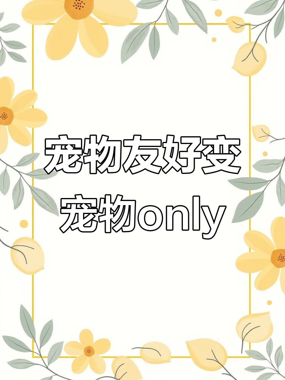重庆宠物专属餐厅,猫狗也能享受生日蛋糕!