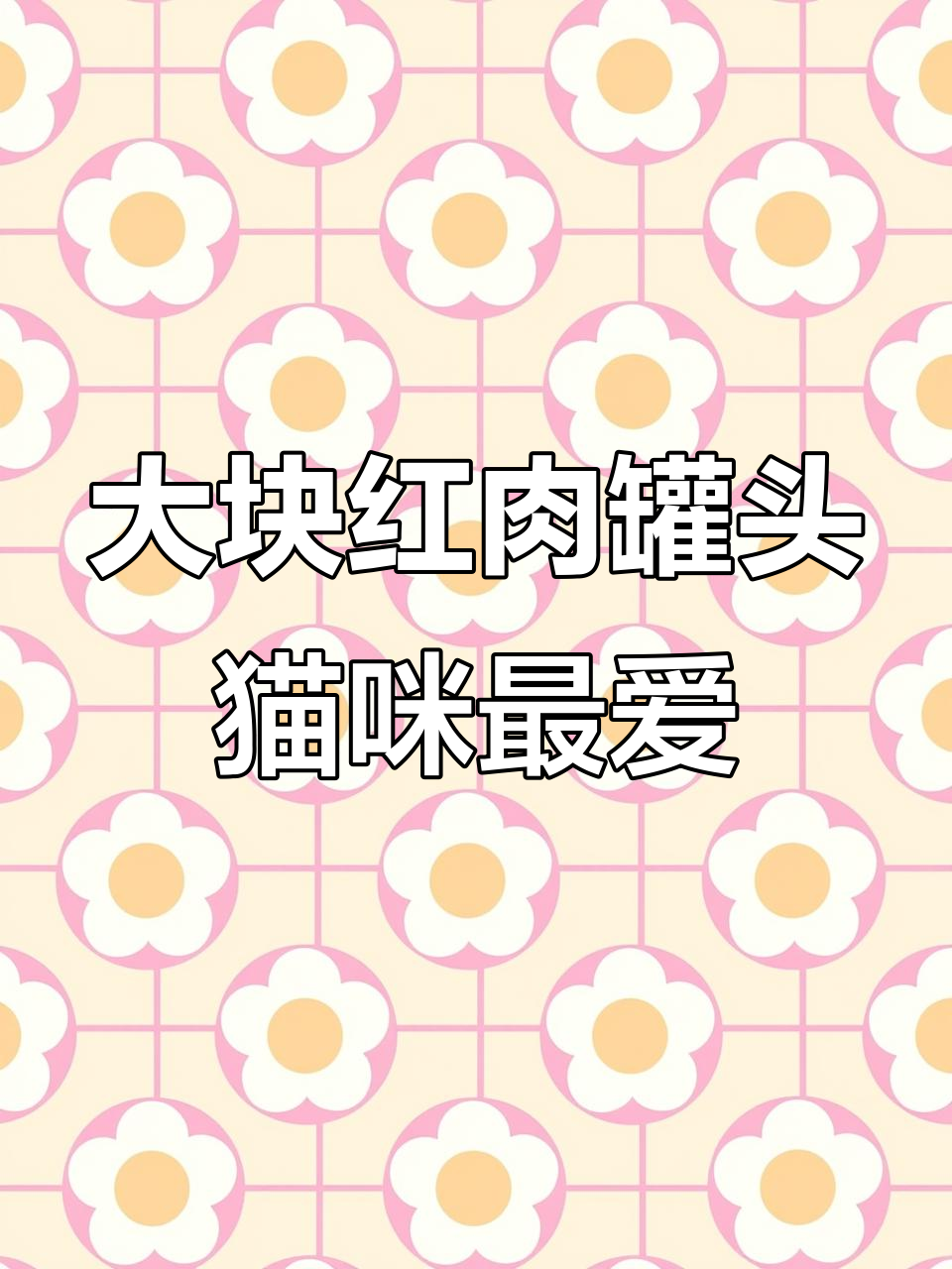 170克大罐红肉罐头,四种口味任你选,猫咪吃得开心又健康