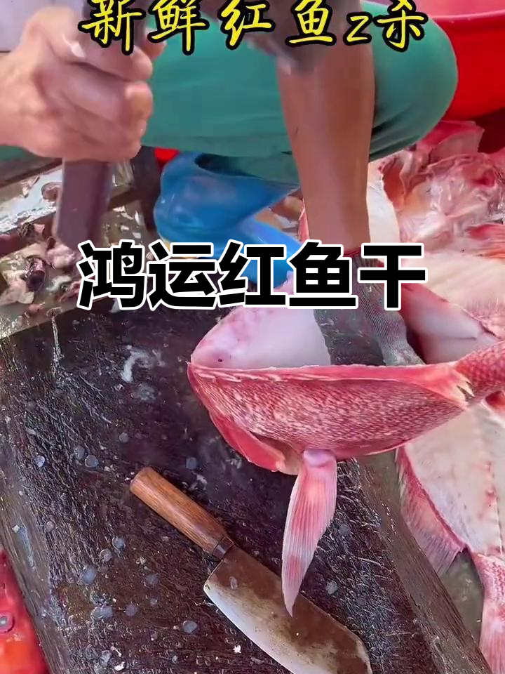 红鱼干,好运连连,年年有余