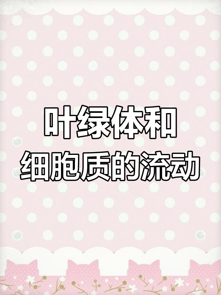 高倍显微镜下的叶绿体与细胞质流动观察
