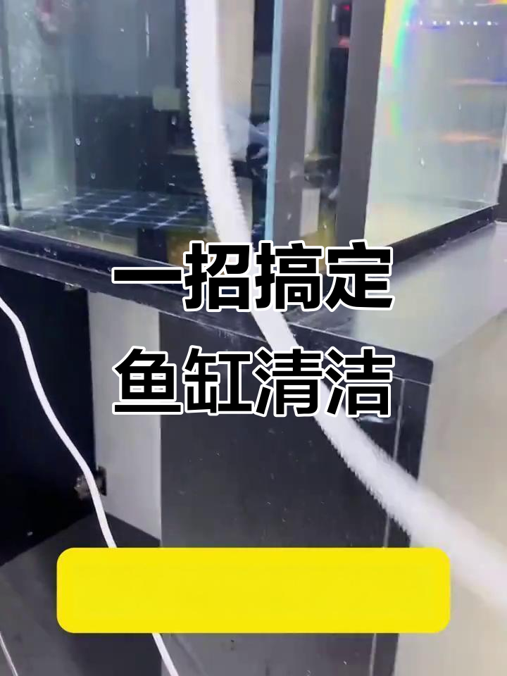 鱼缸清理神器,吸边换水器让脏东西一扫而光
