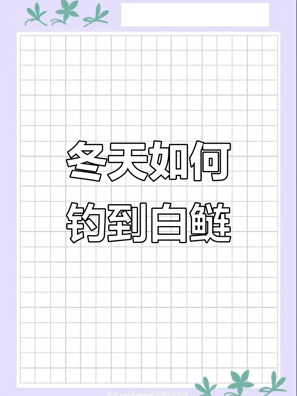 白鲢钓鱼技巧大揭秘，冬季钓白莲不再难