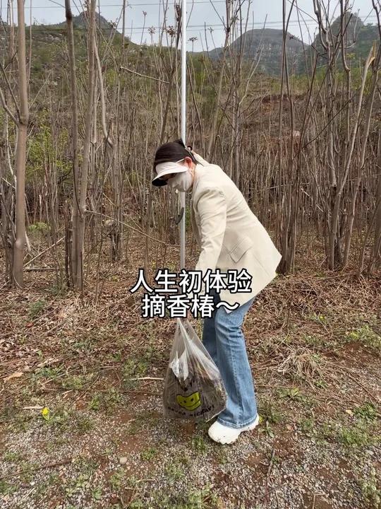 山西嫁河北涞水,摘野菜“香椿”的一天vlog#涞水 #日常vlog #香椿 #野菜 #农村