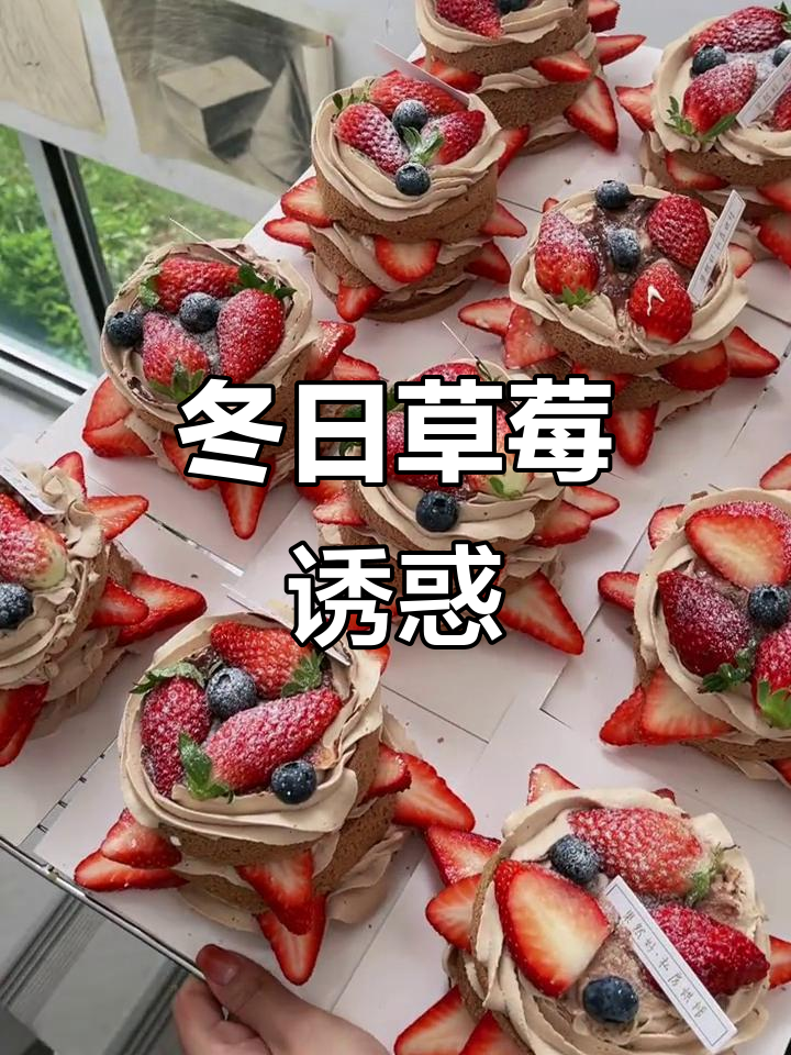 冬季首尝草莓蛋糕,甜美滋味让小仙女们无法抗拒!