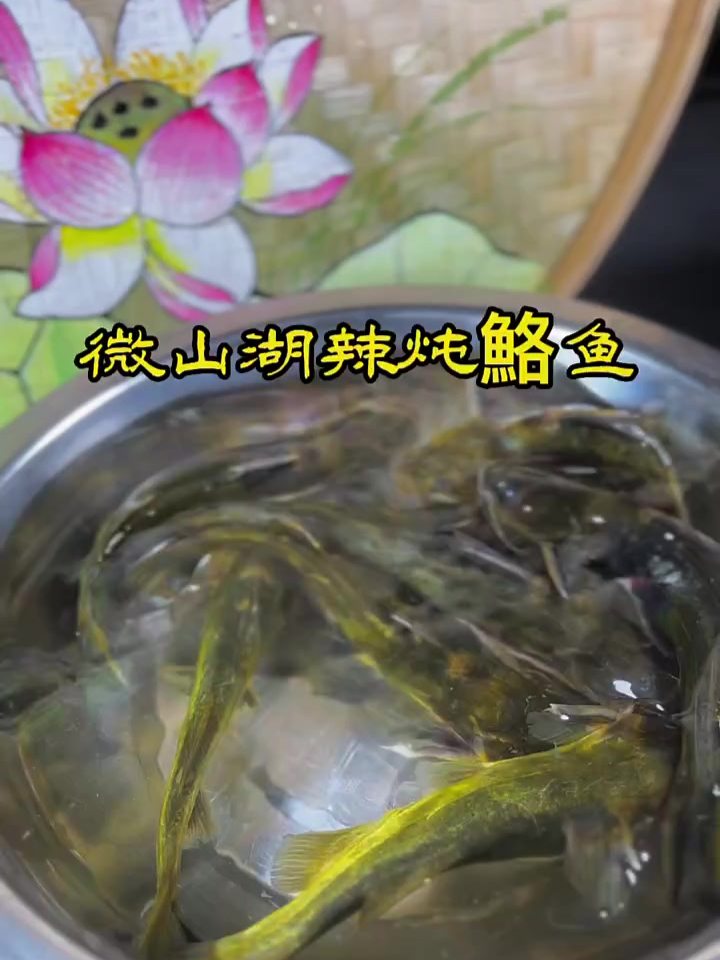 微山湖辣炖鮥鱼，是微山湖的味道，是我美丽的家乡味道