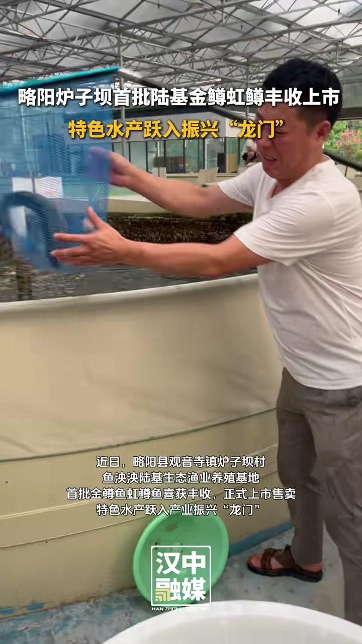 乡村振兴看汉中略阳炉子坝首批陆基金鳟虹鳟丰收上市特色水产跃入振兴“龙门” 水产养殖 特色渔