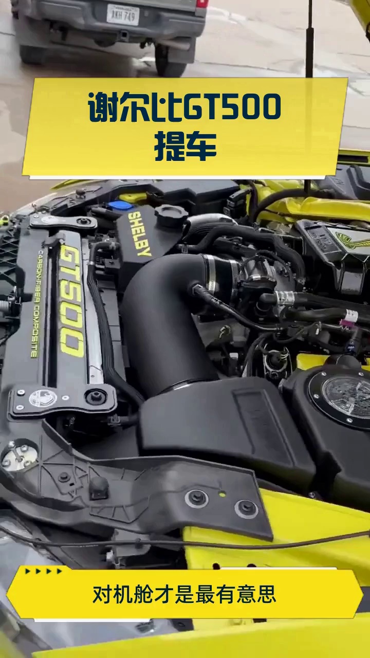 谢尔比GT500提车