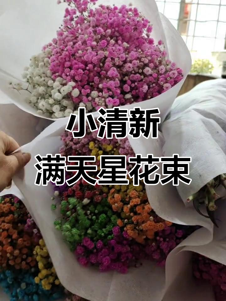蓝色粉色满天星花束,浪漫见面必备!