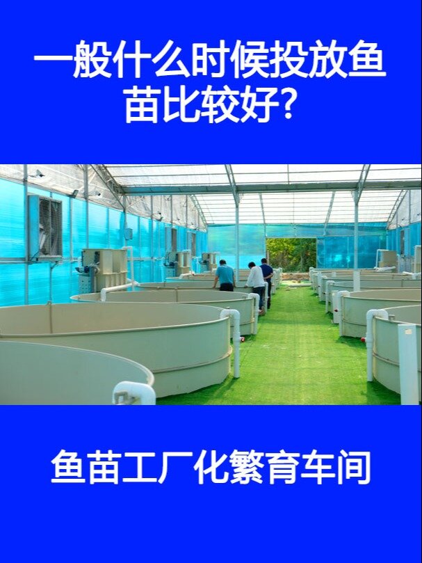 一般什么时候投放鱼苗比较好