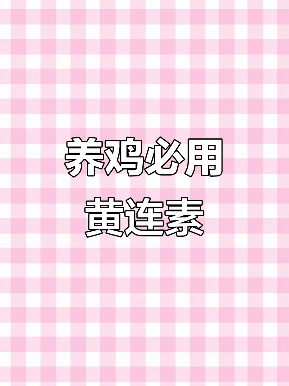 黄连素片:养鸡必备的万能抗菌药,轻松治疗腹泻肠炎