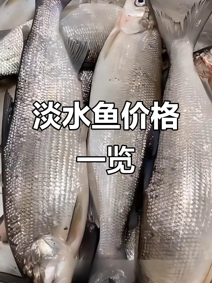 59种常见淡水鱼价格大揭秘,你吃过几种?