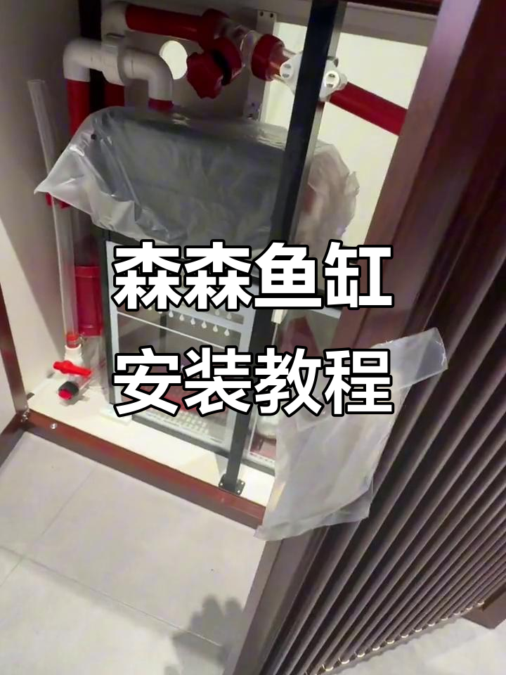 森森鱼缸安装全流程,超白钢壁与水泵细节解析