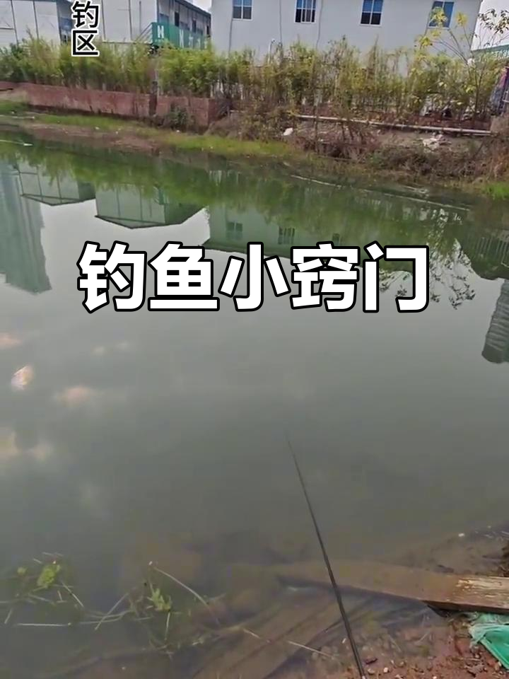 小鲈鱼轻松钓,技巧全在这!