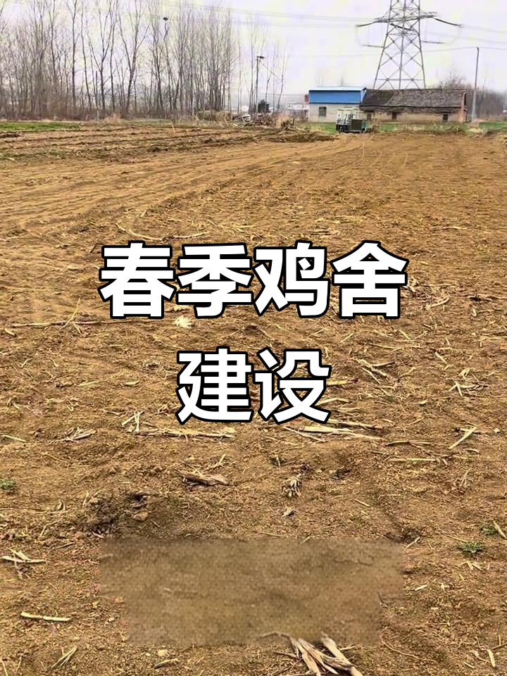 春天鸡舍搭建,农家散养土鸡新起点