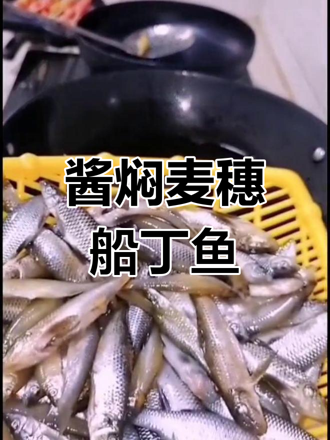 酱焖麦穗鱼,香浓美味