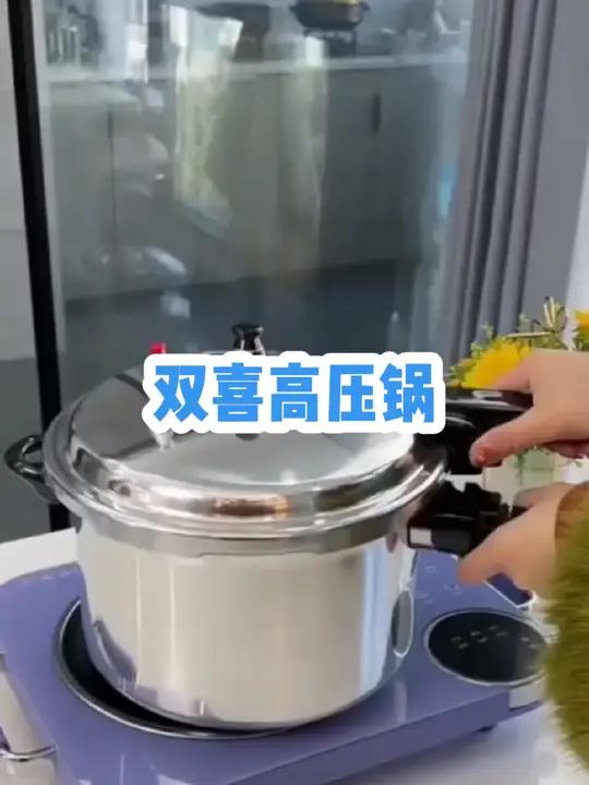 双喜高压锅家用燃气电磁炉通用,大容量小型微压煲汤锅