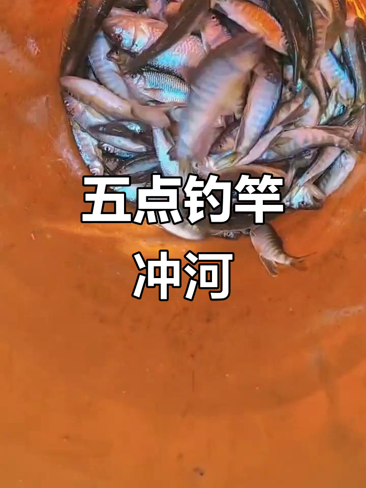 每天五点钟,钓鱼人从不空手而归