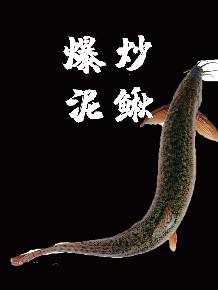 爆炒泥鳅的做法